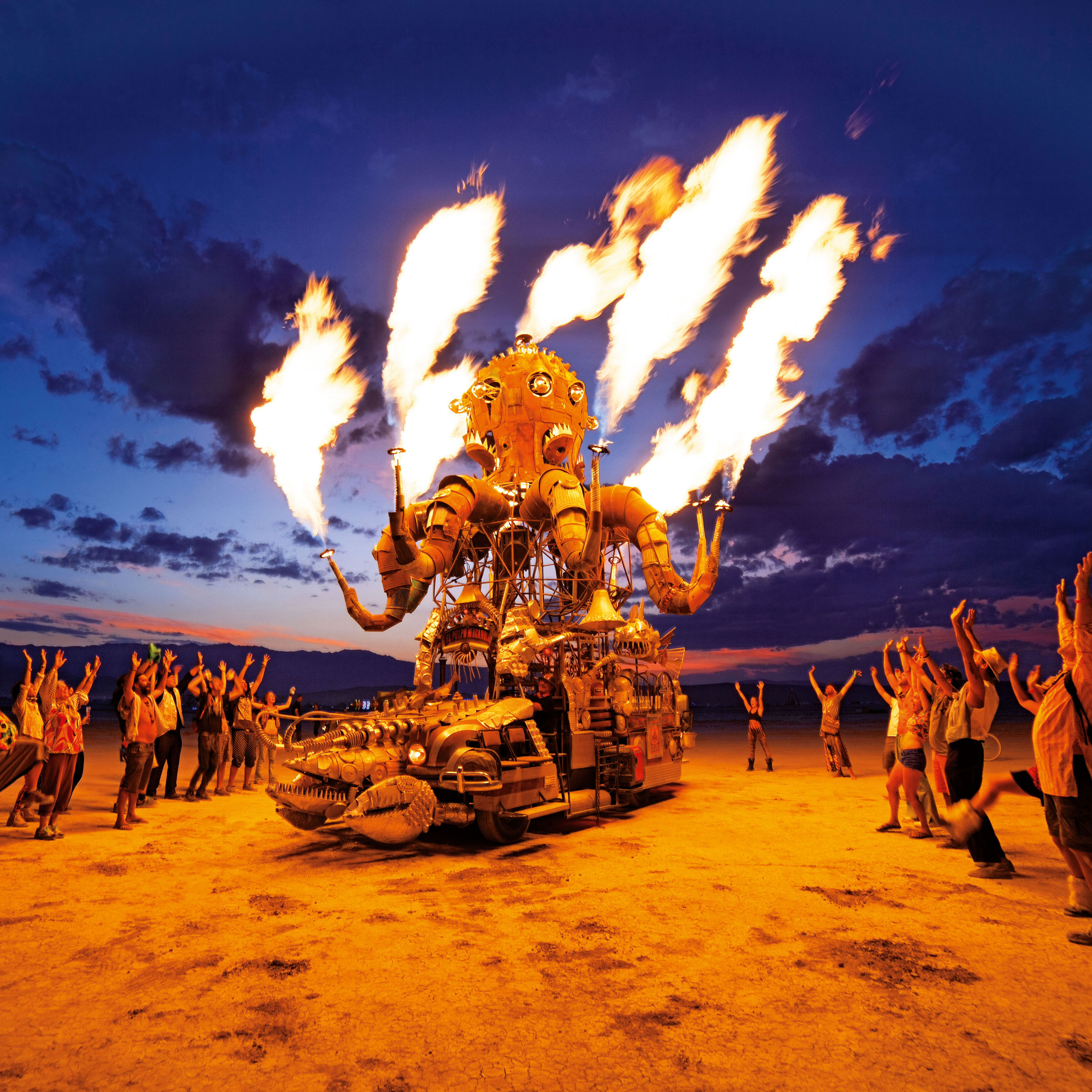 Организаторы «Burning Man» подали в суд на земельное управление США