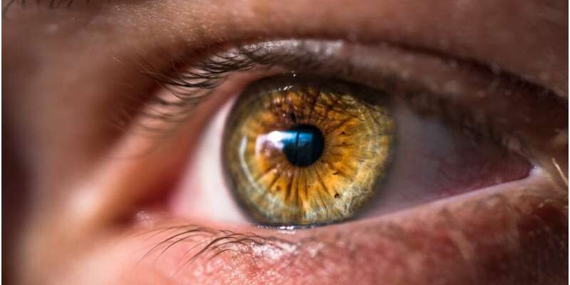 Изменения в глазах могут быть ранним предупреждением о болезни Альцгеймера