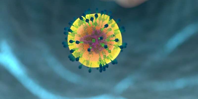 Исследования показывают, что иммунные клетки не могут отличить друга от врага