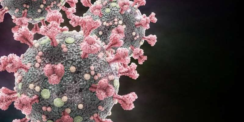 COVID-19: ученые определили гены человека, борющиеся с инфекцией