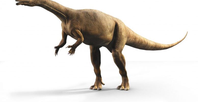 У южноафриканских динозавров был крайне неравномерный рост