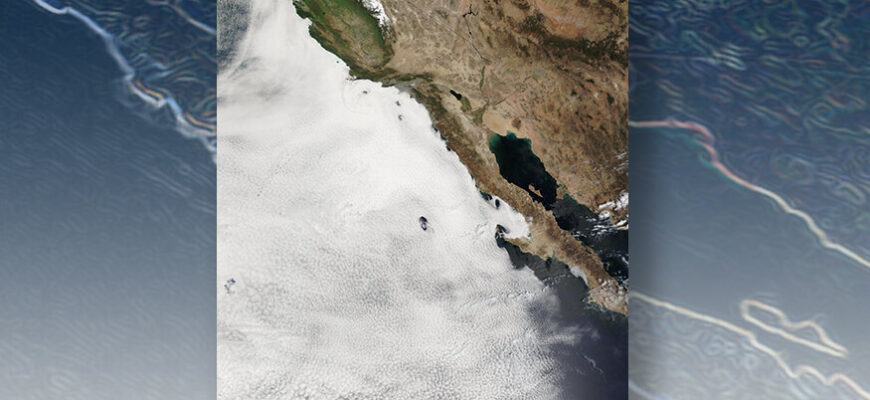 Phys.org: Наблюдения показывают, что морские облака усиливают потепление