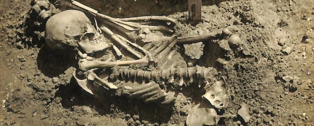 Кости 3000-летнего возраста раскрывают самую старую жертву встречи с акулами из когда-либо обнаруженных