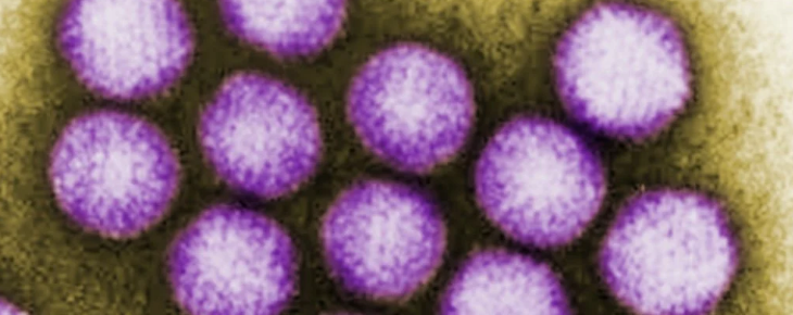 Открытие предполагает, что вирус простуды существовал задолго до появления современного человека