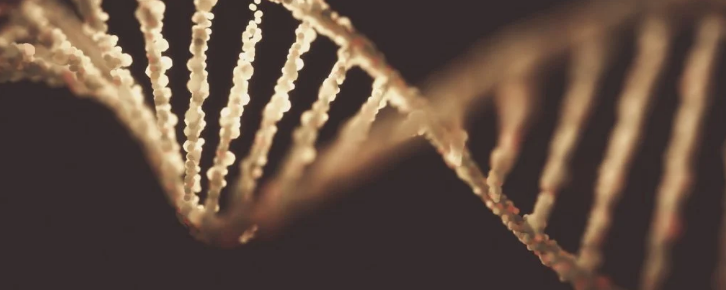 Таинственная новая ДНК борга ассимилирует гены разных организмов