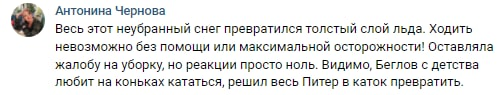 Жители Петербурга предложили Беглову прокатиться по улицам города на коньках