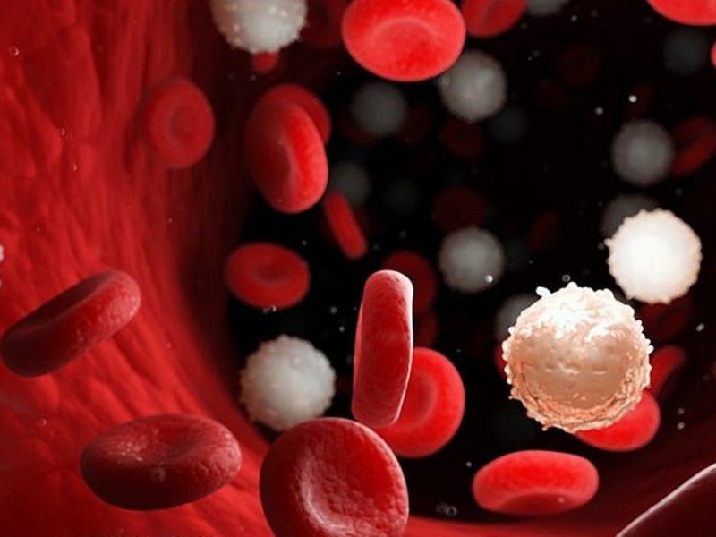 Исследователи разрабатывают метод жидкой биопсии, чтобы помочь обнаружить рак в крови