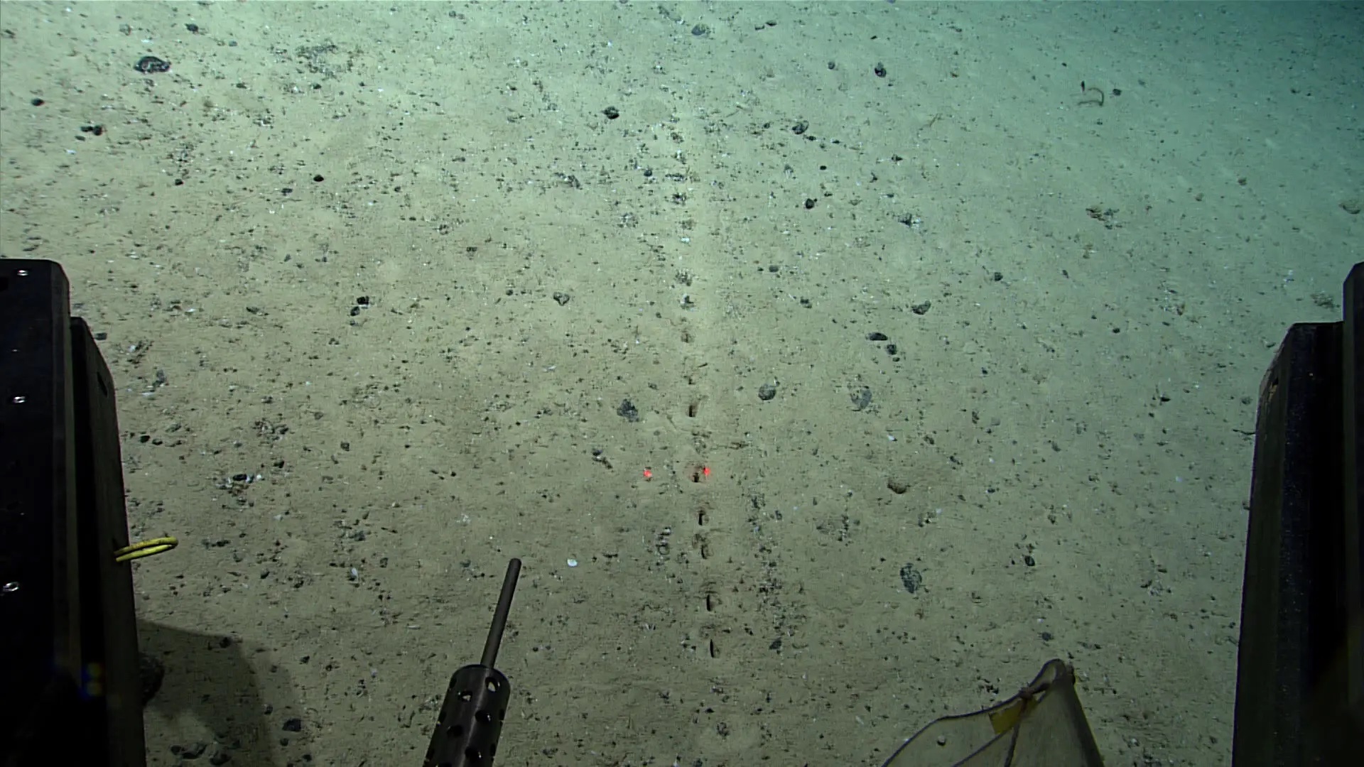 В Атлантическом океане на глубине 3 км учёные обнаружили дорожку ровных отверстий
