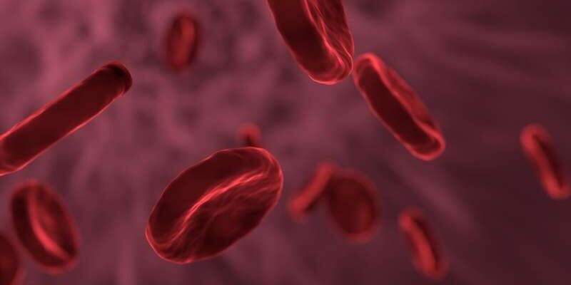 Учёные разработали метод жидкой биопсии, чтобы помочь обнаружить рак в крови