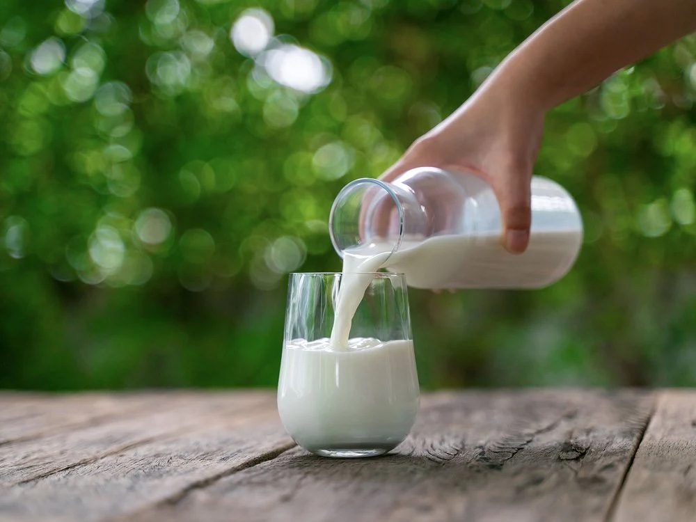 Жители на территории Европы начали массово пить молоко около 9 тыс. лет назад