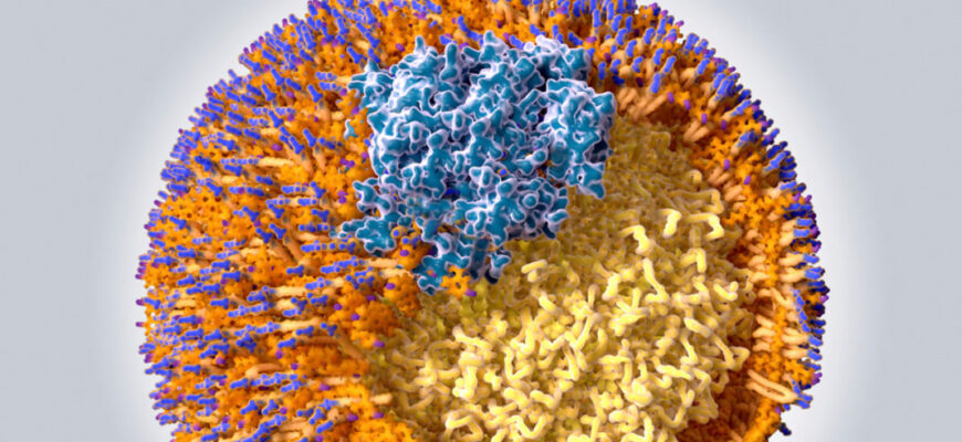 CRISPR-лекарство от высокого уровня холестерина проходит первое испытание на людях