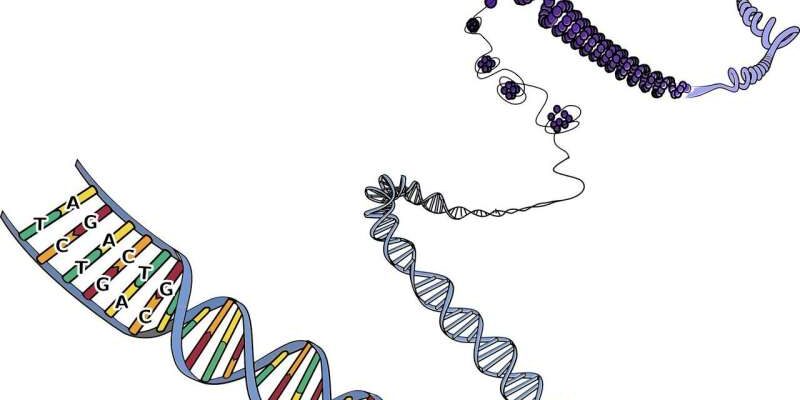 Новый закон физики может предсказывать генетические мутации