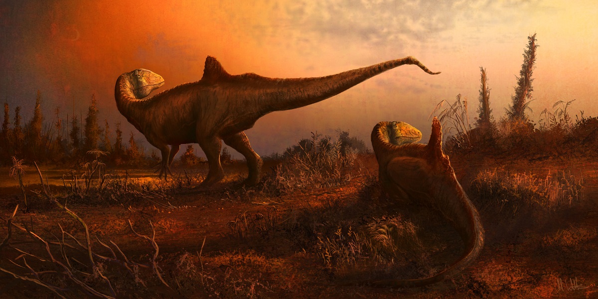 Три вида тираннозавров опять объединили в один