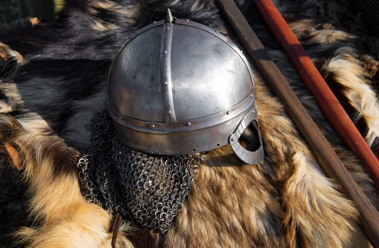 PLOS ONE: древние викинги в Дании показывали свой статус экзотическими шкурами бобров