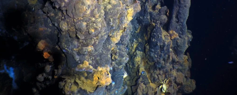 В темных глубинах восточной части Тихого океана обнаружено гигантское гидротермальное поле