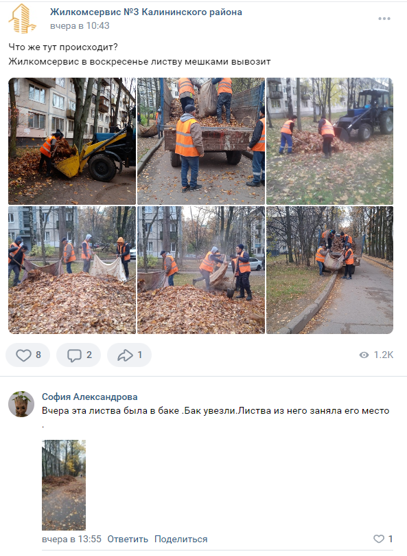 Петербургских коммунальщиков уличили в уборке листьев «на камеру»