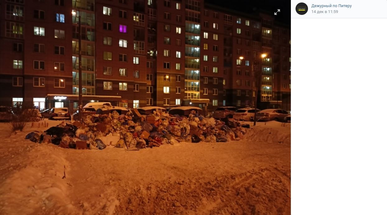 Переполненные контейнеры и полчища крыс: петербуржцы подвели итоги мусорной реформы Беглова